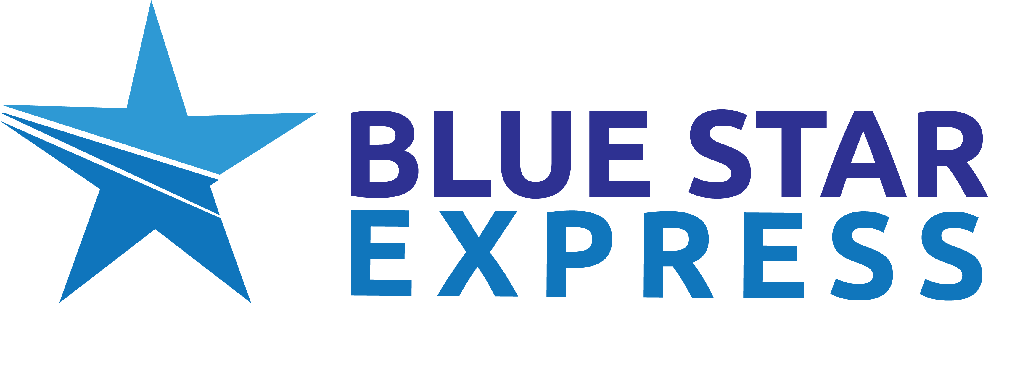 BLUE STAR EXPRESS